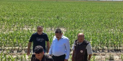 Karapınar’da dolu afetinin etkilediği alanlarda inceleme