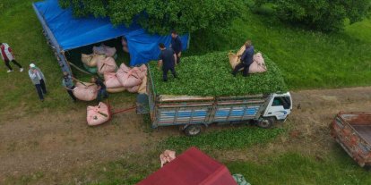 Karadeniz insanı yine zekasını konuşturdu, zor işi kolaylaştırdı