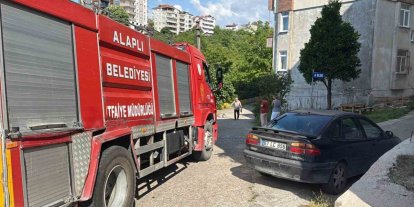 Alaplı’da alev topuna dönen piknik tüpü korkuttu