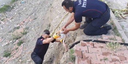 Çorum’da çaya düşen kediyi itfaiye kurtardı