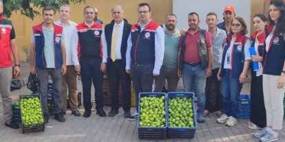 Aydın’ın dünya markası inciri için sahada yoğun mesai