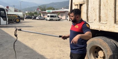 Osmaniye’de kaçak yolcu yılan, üçüncü araçta yakalandı
