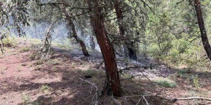Bilecik’te ormanlık alana yıldırım düştü