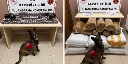 Jandarmadan uyuşturucu ve kaçakçılık operasyonu: 200 kilogram kaçak tütün ele geçirildi