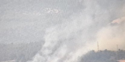 Elektrik tellerine çarpan karga yangına sebep oldu