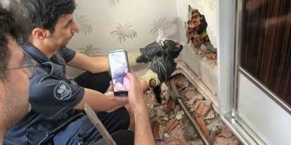 Baca boşluğunda mahsur kalan yavru kedi kurtarıldı