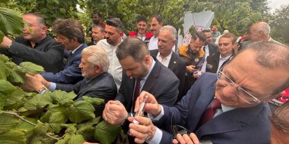 Trabzon’da kahverengi kokarcaya karşı doğal ordu göreve başladı