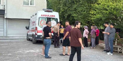 Dut toplarken ağaçtan düşüp yaralandı