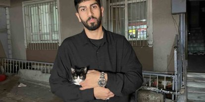 Küçükçekmece’de 7’inci kattan düşen kedi şemsiye ile kurtarıldı