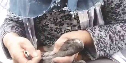 Trabzon’da karabatak kurtarma operasyonu gülümsetti