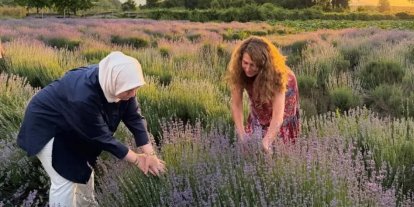 Düzce’de lavanta hasadı başladı