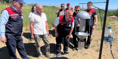 Karabük’te safran üretim alanlarında teknik inceleme yapıldı