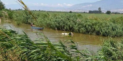 Su kanalına düşen ineği itfaiye kurtrdı
