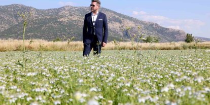 Tavas’ta karacaot ekiminde verimlilik testi yapılıyor