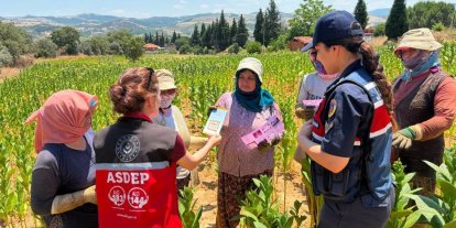 Salihli Jandarma, tütün tarlasında KADES’i anlattı