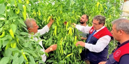 Mersin’de kapya biber üretimi yerinde incelendi