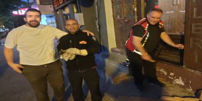 Kars İtfaiyesi Mahsur Kalan Kediyi Kurtardı