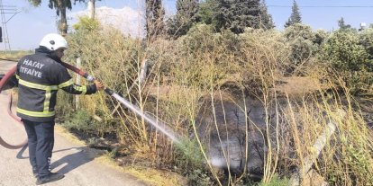 Reyhanlı’da zeytinlik alandan alevler yükseldi