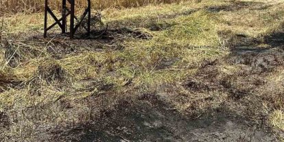 Bilecik’te anız yangını
