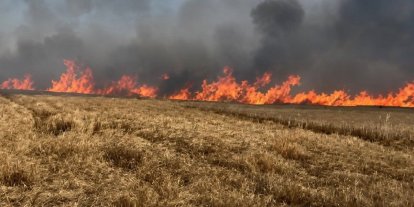 Tekirdağ’da 400 dönüm buğday ekili alan yandı