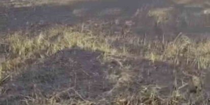 Siverek’te arazi yangını: 1’i ağır 3 yaralı, 200 dönüm ekili alan küle döndü