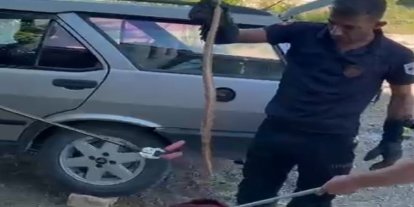 Park halindeki otomobile giren yılan paniğe neden oldu