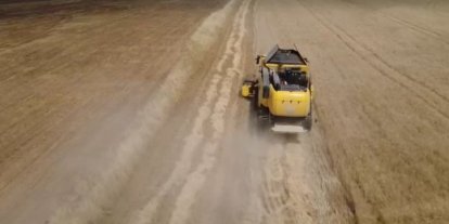 Siirt’te buğday hasadı başladı: Yağışlar çiftçiye umut oldu