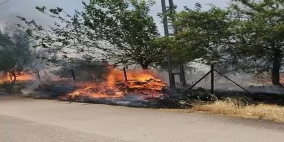 Karadağ Ormanlık alanda çıkan yangın korkuttu
