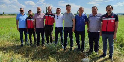 Kütahya’da çörek otu üretimi yakından takip ediliyor