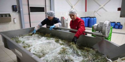 Efeler’in fabrikasında yaz mesaisi