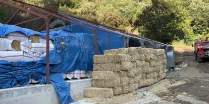 Bursa’da ormana sıçrayan yangın kontrol altına alındı