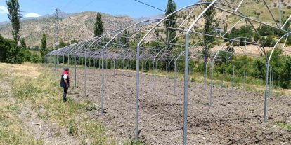 Şırnak’ta sera yatırımları yerinde incelendi