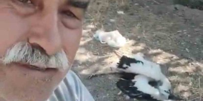 Bahçesindeki leyleklerin öldüğünü görünce gözyaşlarına boğuldu
