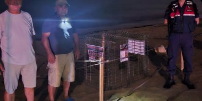 Kuşadası’nda caretta caretta heyecanı: İlk yuva koruma altına alındı