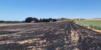 Silivri’de elektrik direği kesimi sırasında yangın: Ekili araziler zarar gördü