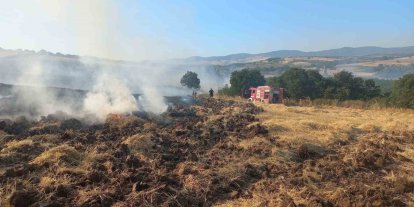 Bandırma’da buğday tarlasında çıkan yangın ekiplerin müdahalesiyle söndürüldü