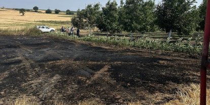 Bandırma’da çıkan anız yangını büyümeden söndürüldü