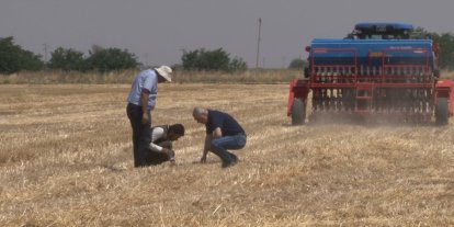 Şanlıurfa’da ’anız yakmadan üretim’ modeli yaygınlaşıyor: Toprak korunuyor çiftçi kazanıyor