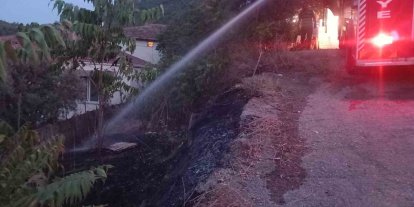 Yerleşim yeri yakınındaki otluk alanda çıkan yangın korkuttu