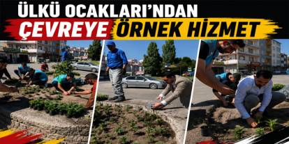 Kars Ülkü Ocakları'ndan Çevreye Örnek Hizmet