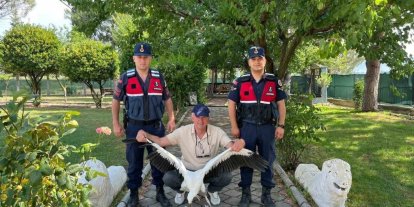Yaralı leylek için seferber oldular