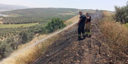 Altınözü’de anız yangını