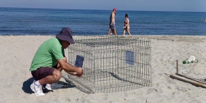 Duyarlı gençlerin ihbarı sayesinde, caretta yuvası koruma altına alındı