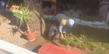Didim Belediyesi’nin kendi üretimi çiçekler toprakla buluşuyor