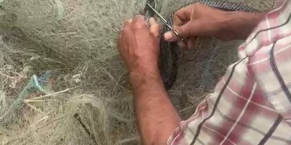 Balık ağında mahsur kılan yılanı elleriyle kurtardı