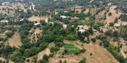 Feke’nin dağ köyünde sarı kantaron ve kekik geleneksel yöntemlerle şifa kaynağına dönüşüyor