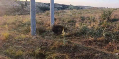 Bilecik’te elektrik akımına kapılan kuş yangına sebep oldu