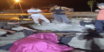 Minibüsün çarptığı başıboş at "Haybulans" ile tedaviye alındı