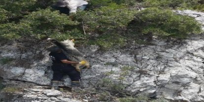 Uçurumda mahsur kalan keçiyi itfaiye kurtardı