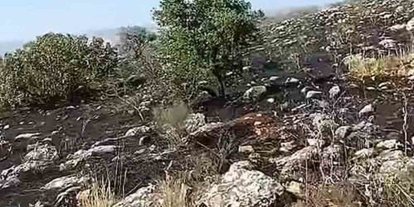 Araban’da fıstıklık ve otluk alanda yangın